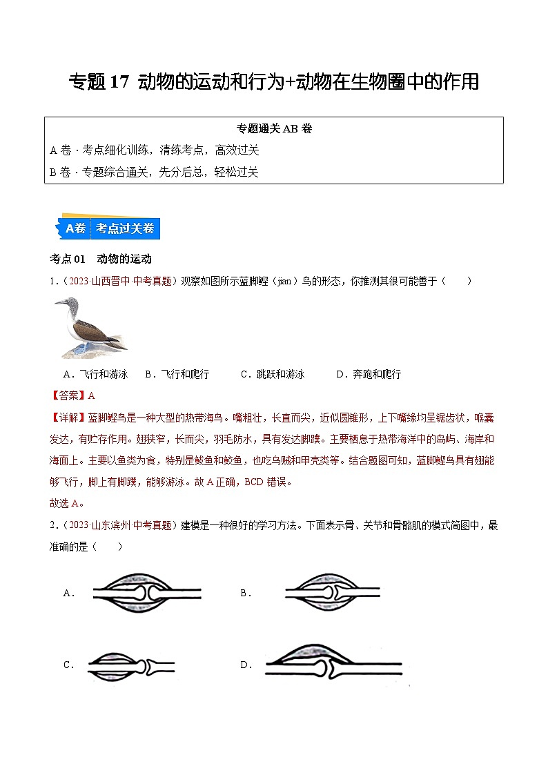 专题17 动物的运动和行为+动物在生物圈中的作用-备战2024年中考生物一轮复习考点帮（全国通用）第1页