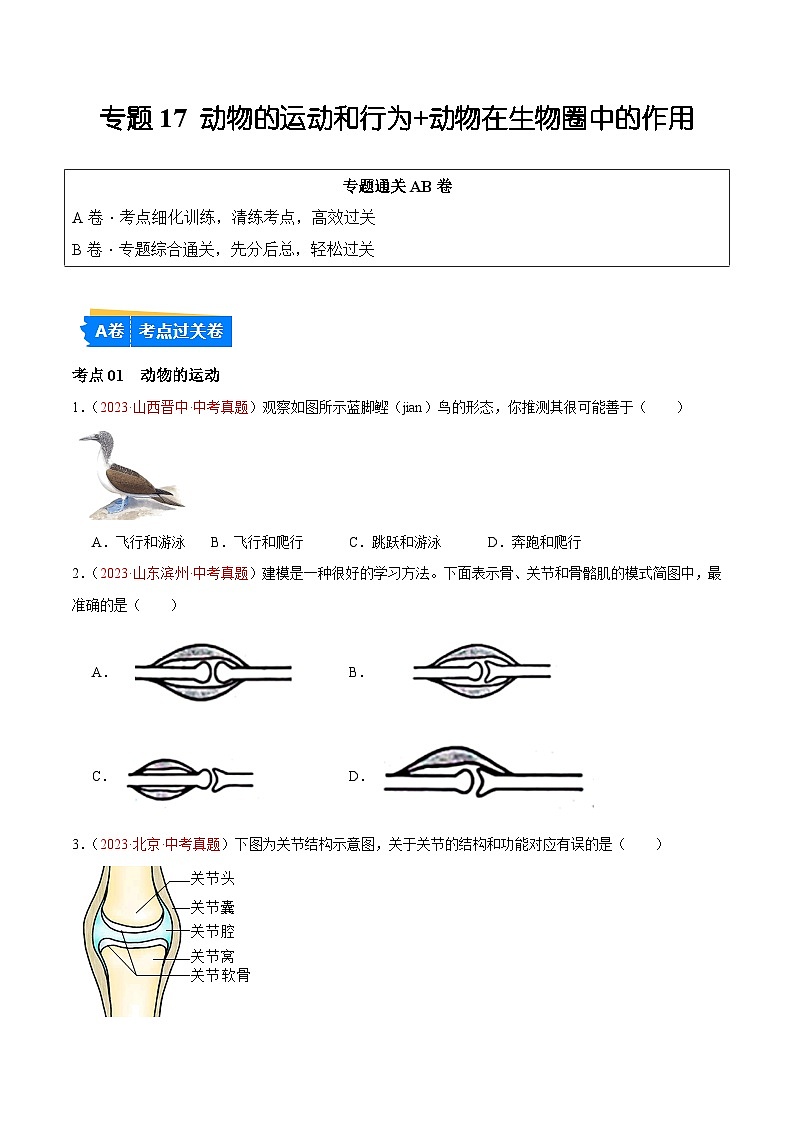 专题17 动物的运动和行为+动物在生物圈中的作用-备战2024年中考生物一轮复习考点帮（全国通用）（原卷版）第1页