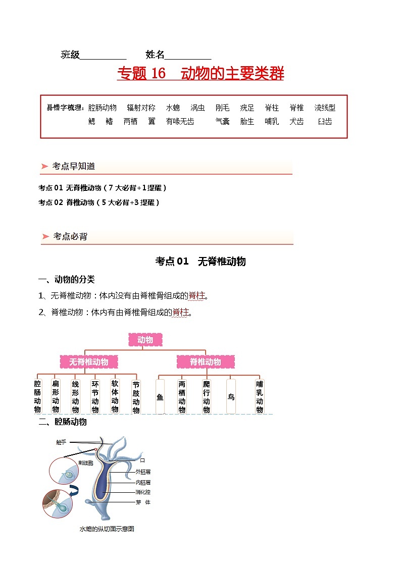 专题16 动物的主要类群-备战2024年中考生物一轮复习考点帮第1页