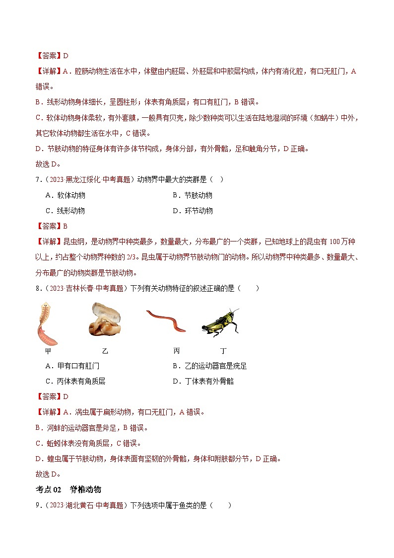 专题16 动物的主要类群-备战2024年中考生物一轮复习考点帮（全国通用）第3页