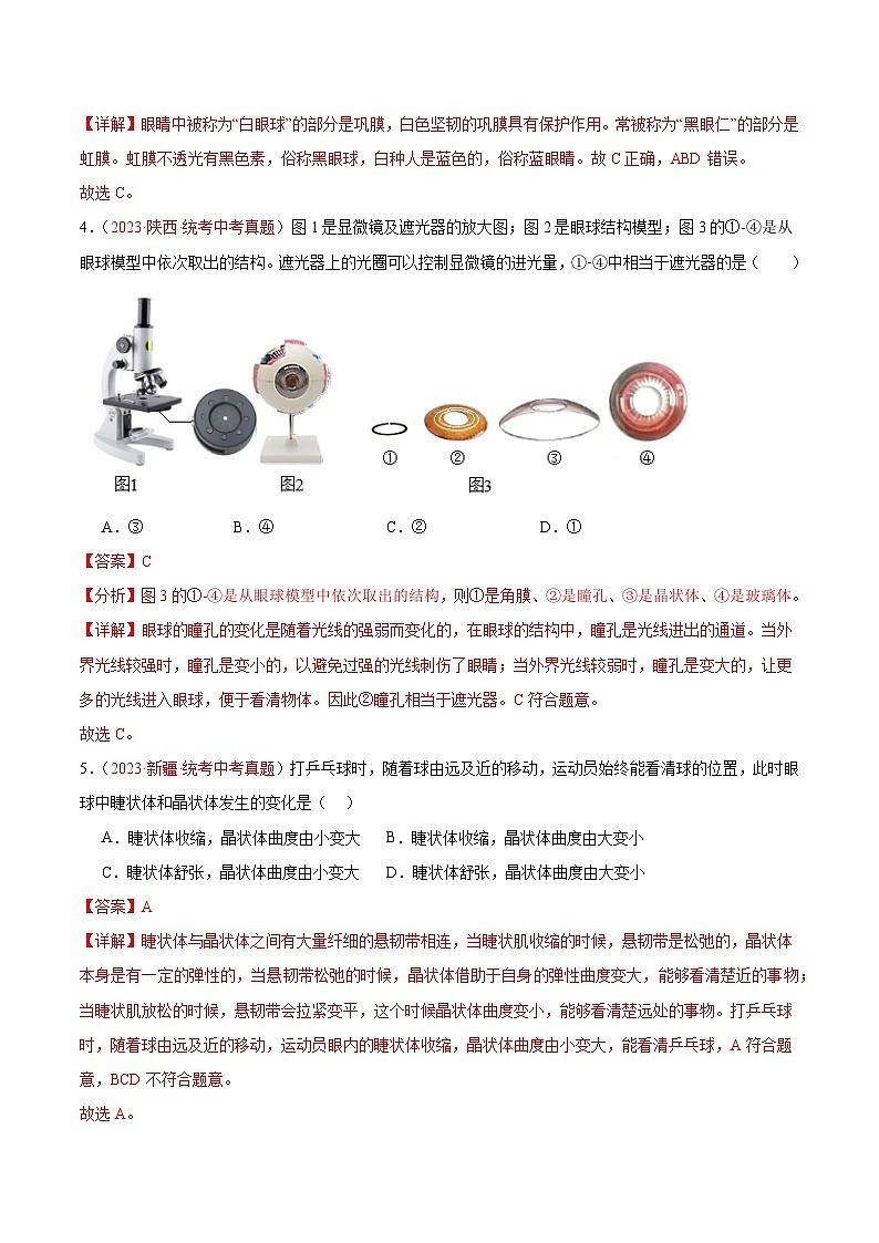 专题14 人体生命活动的调节-备战2024年中考生物一轮复习考点帮（全国通用）02