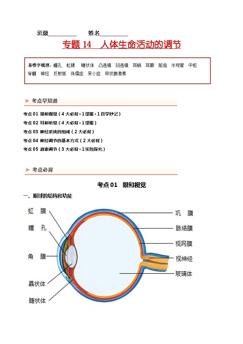专题14 人体生命活动的调节-备战2024年中考生物一轮复习考点帮01