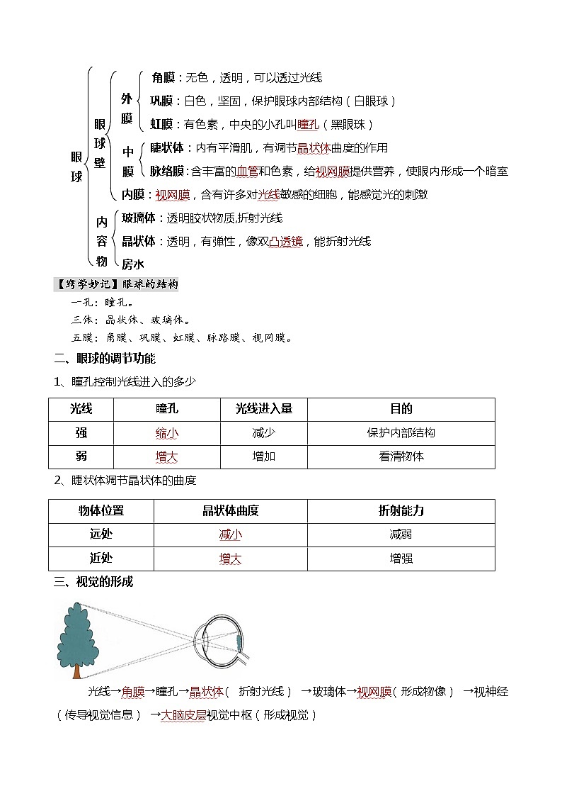 专题14 人体生命活动的调节-备战2024年中考生物一轮复习考点帮02