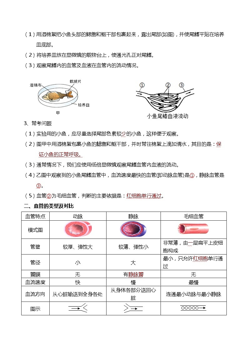 专题12 人体内物质的运输-备战2024年中考生物一轮复习考点帮第3页