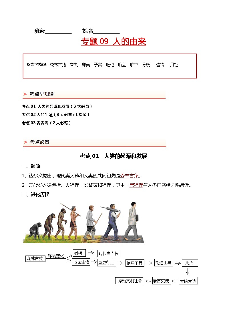 专题09 人的由来-备战2024年中考生物一轮复习考点帮01