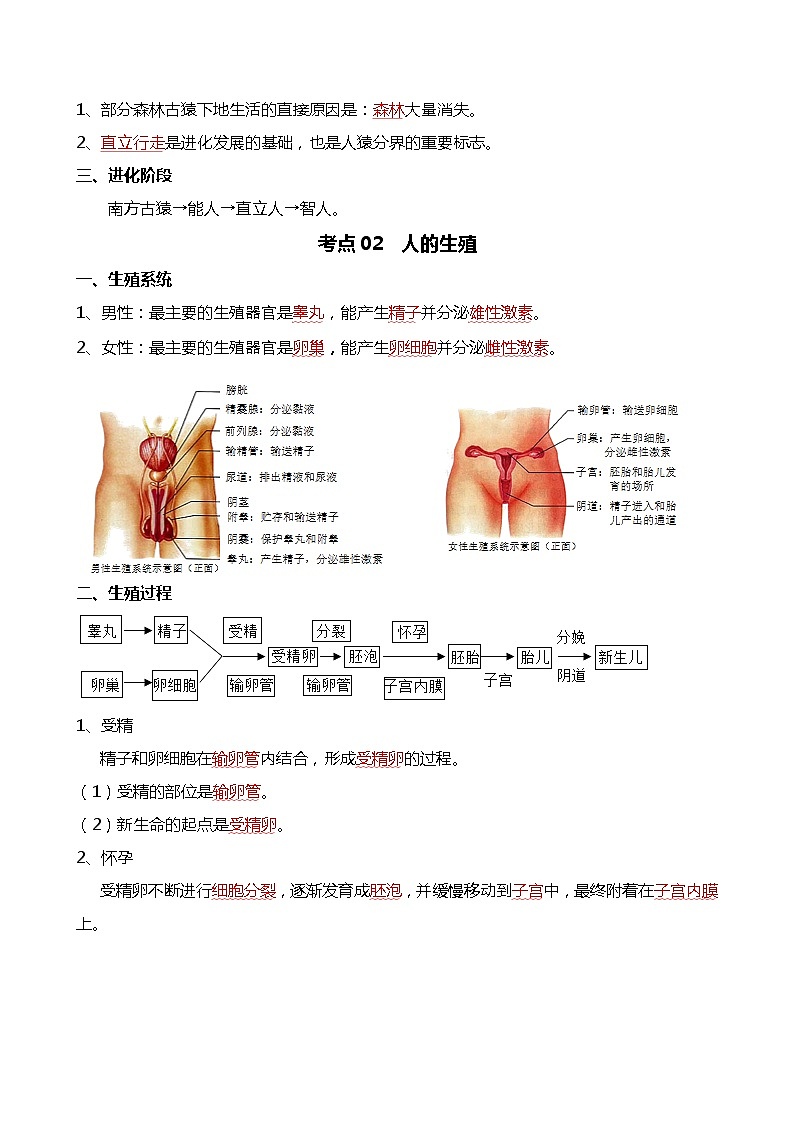 专题09 人的由来-备战2024年中考生物一轮复习考点帮02