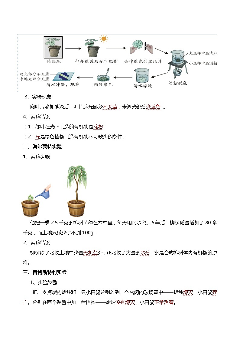专题07 绿色植物的光合作用-备战2024年中考生物一轮复习考点帮第2页