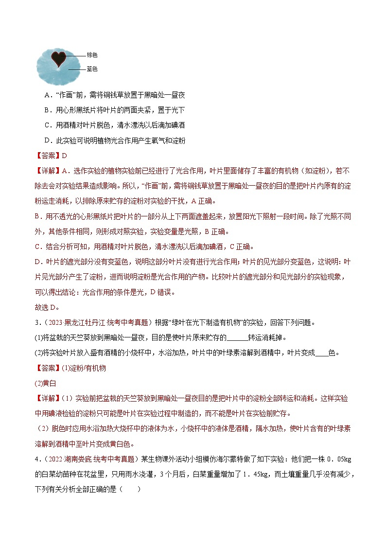 专题07 绿色植物的光合作用-备战2024年中考生物一轮复习考点帮（全国通用）第2页