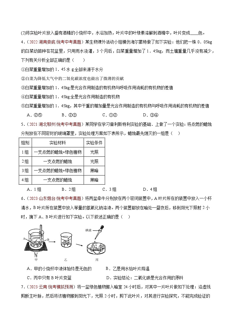 专题07 绿色植物的光合作用-备战2024年中考生物一轮复习考点帮（全国通用）（原卷版）第2页
