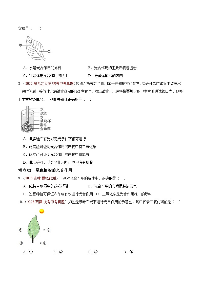 专题07 绿色植物的光合作用-备战2024年中考生物一轮复习考点帮（全国通用）（原卷版）第3页