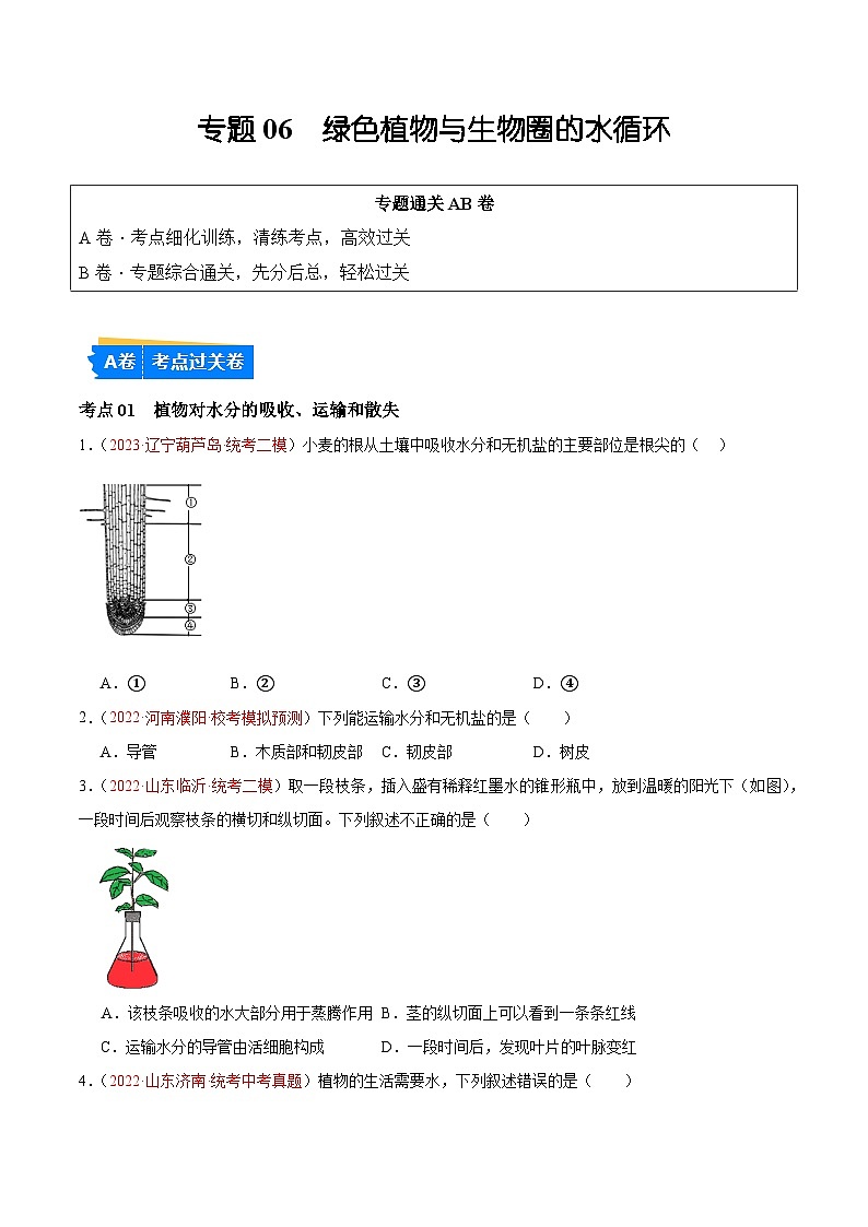 专题06 绿色植物与生物圈的水循环-备战2024年中考生物一轮复习考点帮（全国通用）（原卷版）第1页