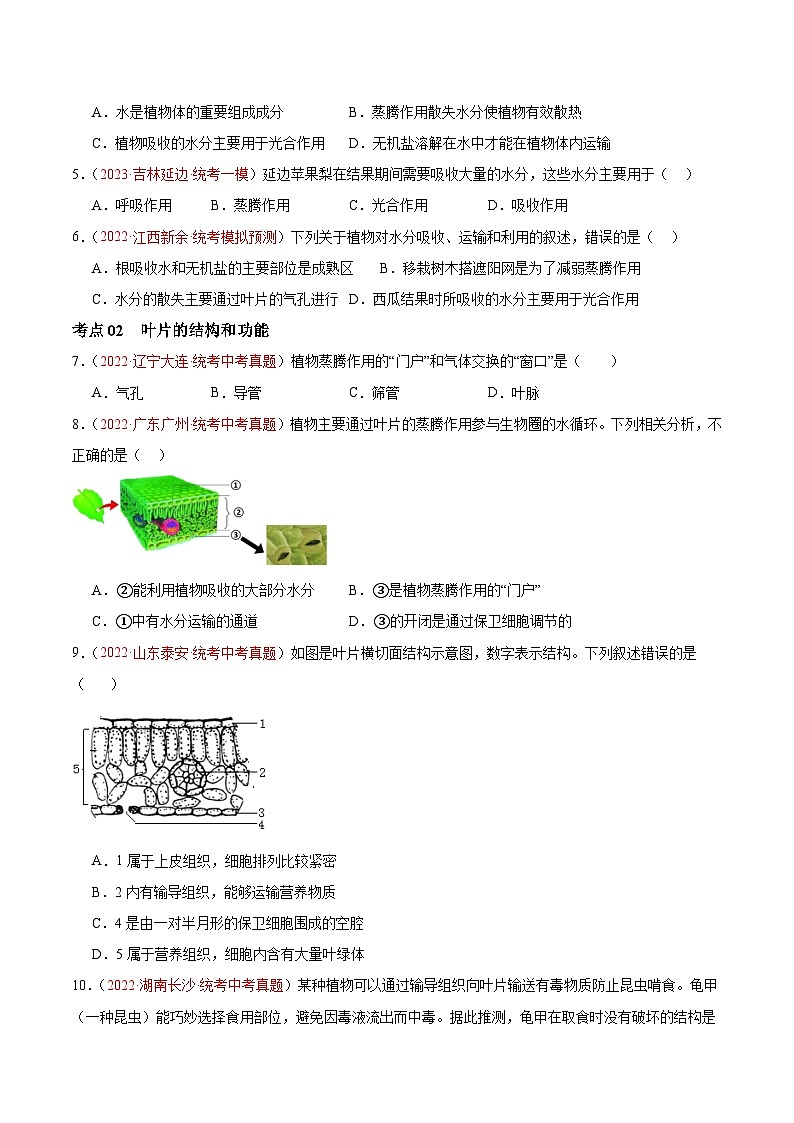 专题06 绿色植物与生物圈的水循环-备战2024年中考生物一轮复习考点帮（全国通用）（原卷版）第2页