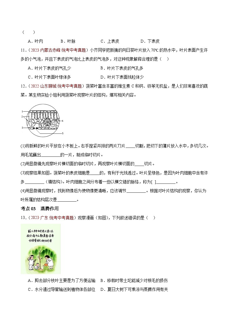 专题06 绿色植物与生物圈的水循环-备战2024年中考生物一轮复习考点帮（全国通用）（原卷版）第3页