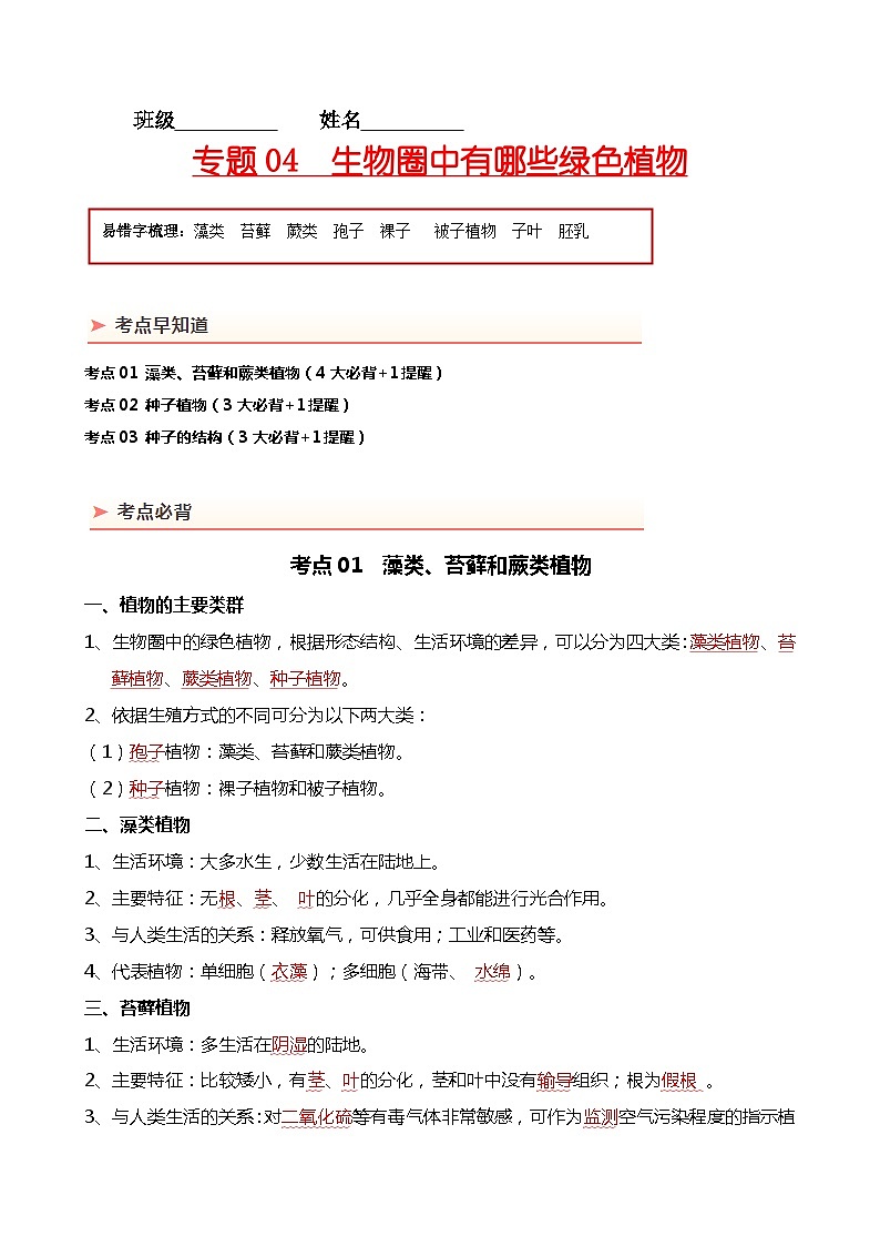 专题04 生物圈中有哪些绿色植物-备战2024年中考生物一轮复习考点帮01