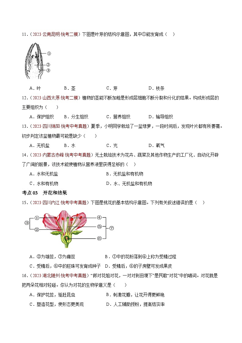 专题05 被子植物的一生-备战2024年中考生物一轮复习考点帮（全国通用）（原卷版）第3页