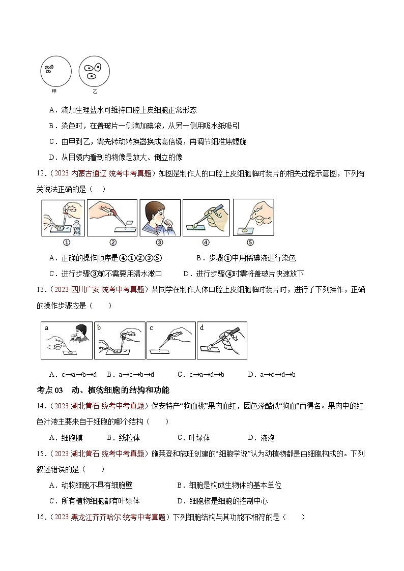 专题02 细胞是生命活动的基本单位-备战2024年中考生物一轮复习考点帮（全国通用）（原卷版）第3页
