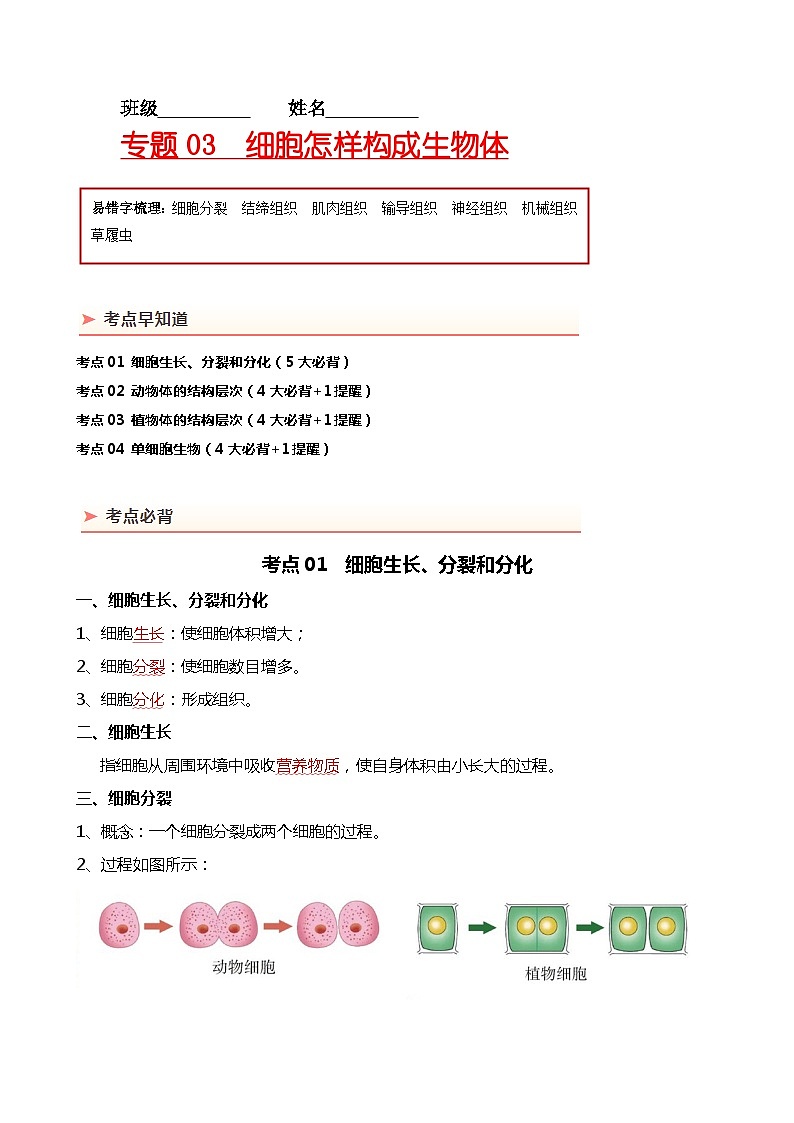 专题03 细胞怎样构成生物体-备战2024年中考生物一轮复习考点帮第1页