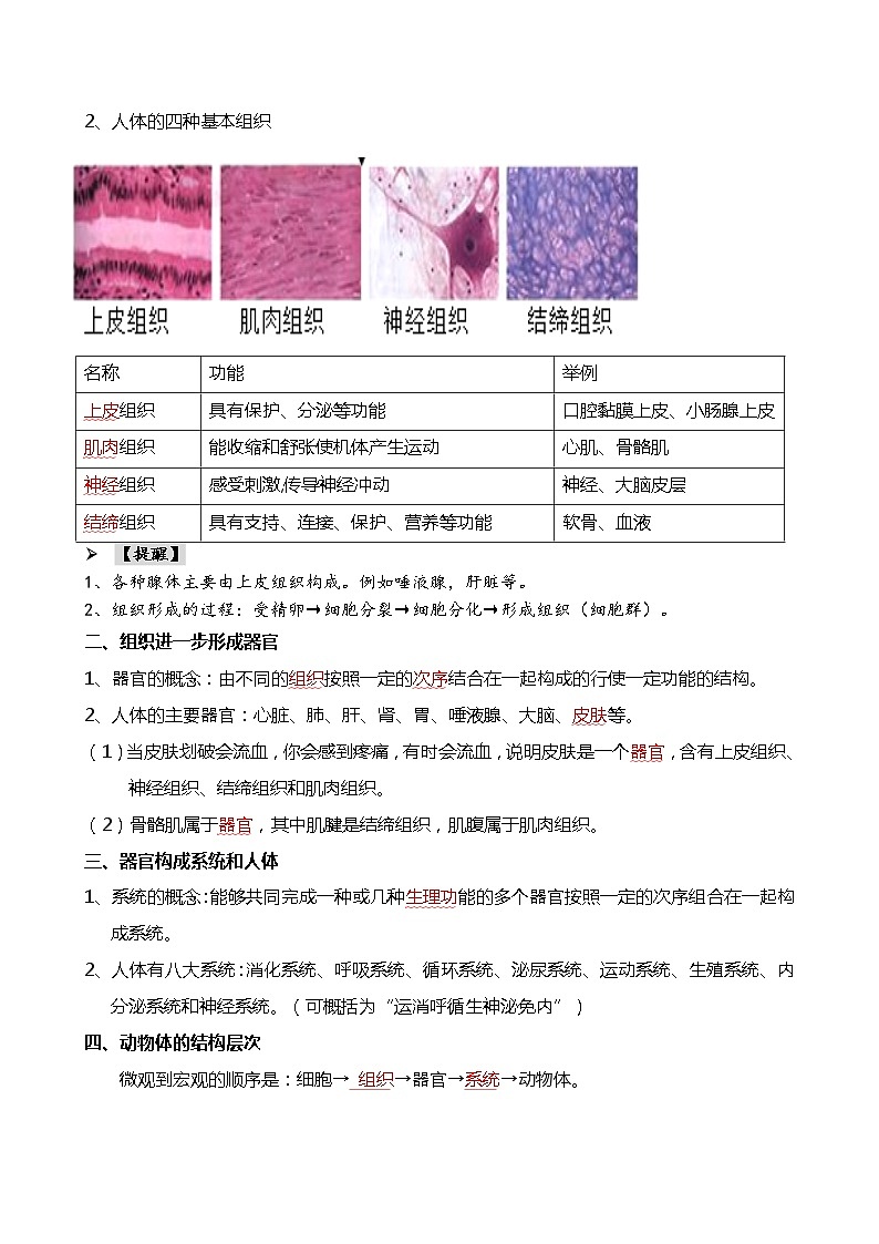 专题03 细胞怎样构成生物体-备战2024年中考生物一轮复习考点帮第3页
