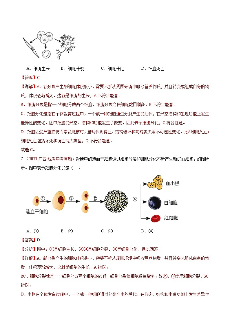 专题03 细胞怎样构成生物体-备战2024年中考生物一轮复习考点帮（全国通用）第3页