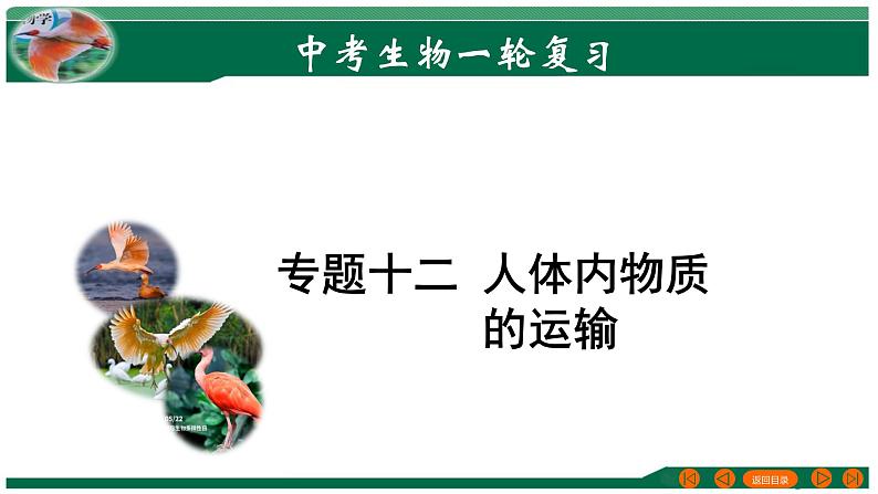 专题12 人体内物质的运输-备战2024年中考生物一轮复习考点帮课件PPT01