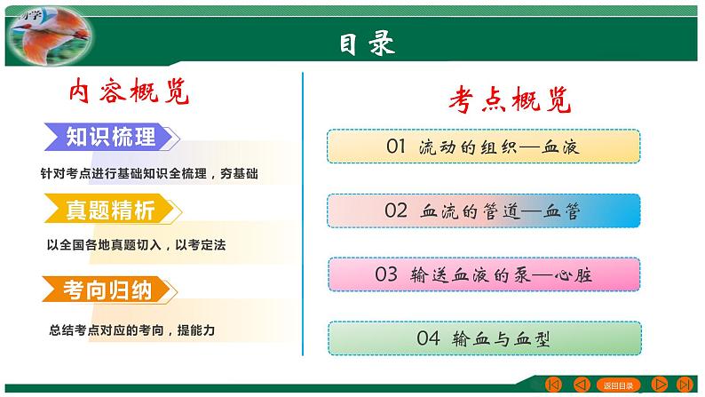 专题12 人体内物质的运输-备战2024年中考生物一轮复习考点帮课件PPT02