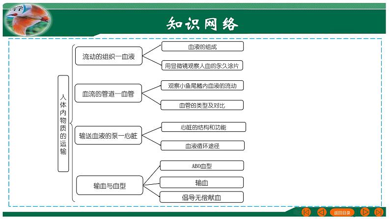 专题12 人体内物质的运输-备战2024年中考生物一轮复习考点帮课件PPT03