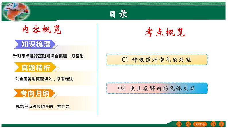 专题11 人体的呼吸-备战2024年中考生物一轮复习考点帮课件PPT02