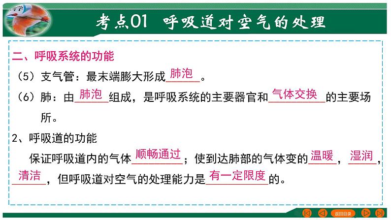 专题11 人体的呼吸-备战2024年中考生物一轮复习考点帮课件PPT06