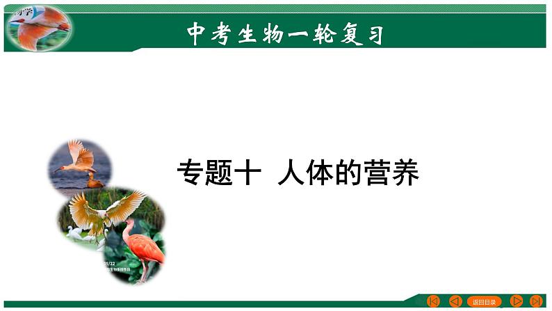 专题10 人体的营养-备战2024年中考生物一轮复习考点帮课件PPT第1页