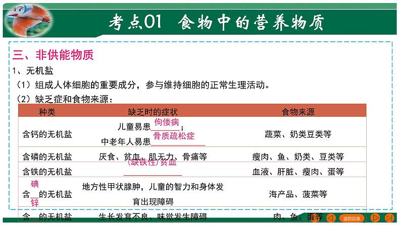 专题10 人体的营养-备战2024年中考生物一轮复习考点帮课件PPT第6页