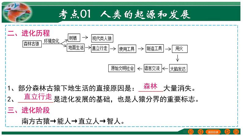 专题09 人的由来-备战2024年中考生物一轮复习考点帮课件PPT05