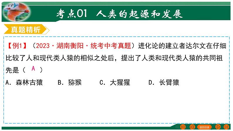 专题09 人的由来-备战2024年中考生物一轮复习考点帮课件PPT06