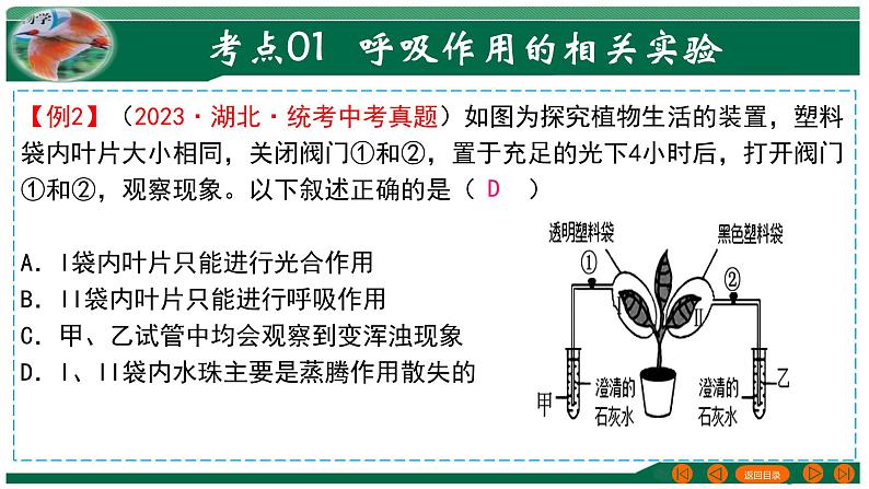 专题08 绿色植物的呼吸作用-备战2024年中考生物一轮复习考点帮课件PPT第8页