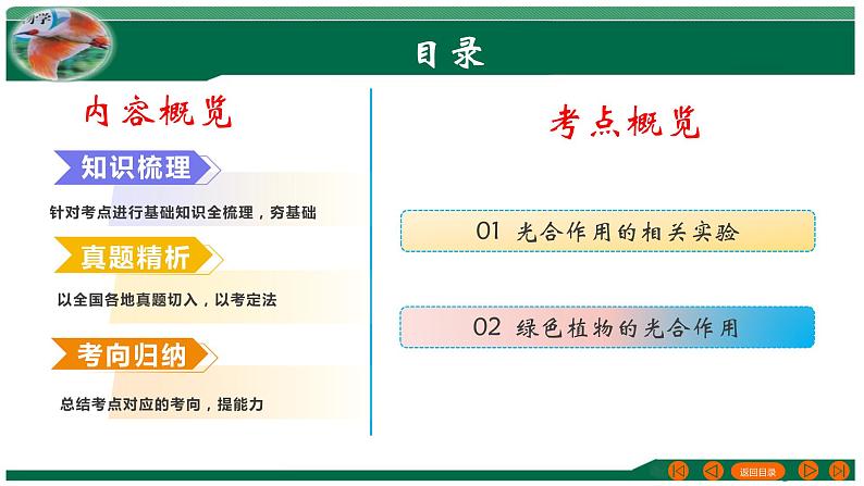 专题07 绿色植物的光合作用-备战2024年中考生物一轮复习考点帮课件PPT第2页