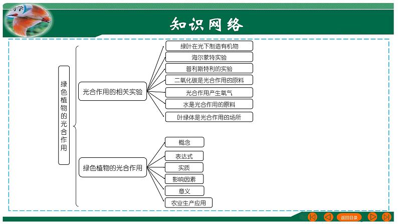 专题07 绿色植物的光合作用-备战2024年中考生物一轮复习考点帮课件PPT第3页