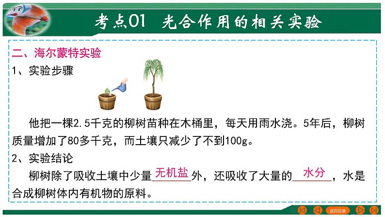 专题07 绿色植物的光合作用-备战2024年中考生物一轮复习考点帮课件PPT第7页