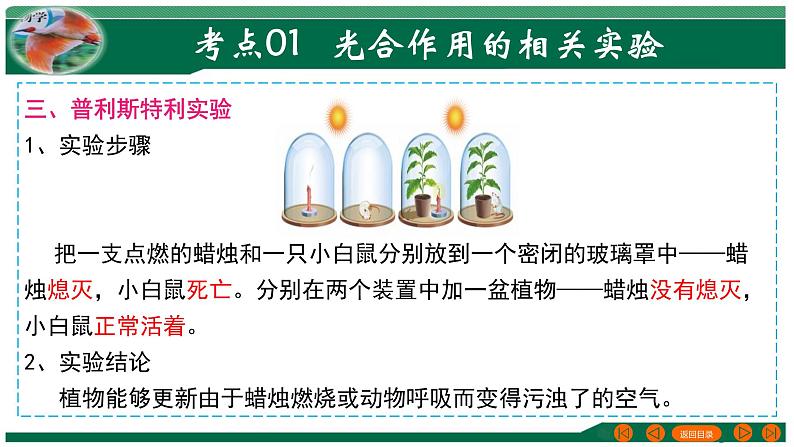 专题07 绿色植物的光合作用-备战2024年中考生物一轮复习考点帮课件PPT第8页