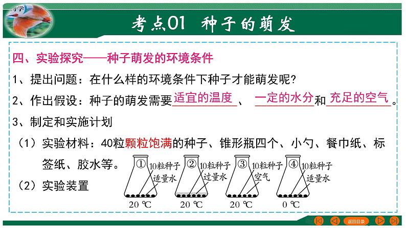 专题05 被子植物的一生-备战2024年中考生物一轮复习考点帮课件PPT07