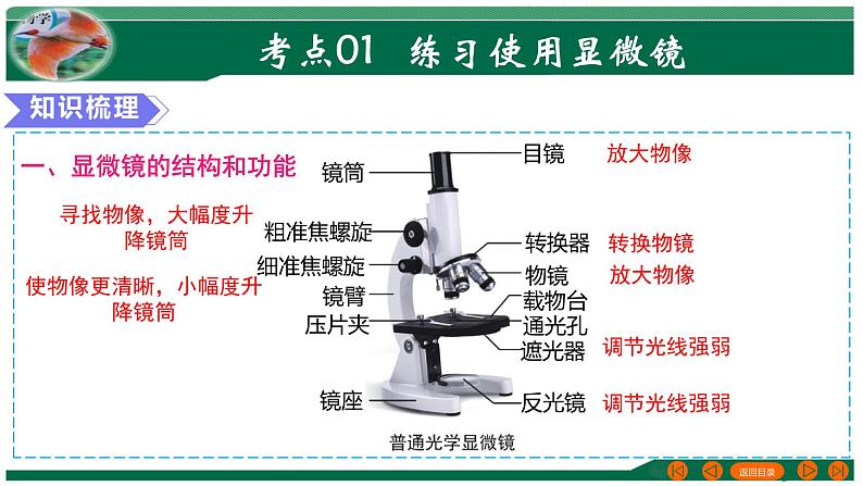 专题02 细胞是生命活动的基本单位-备战2024年中考生物一轮复习考点帮课件PPT第4页