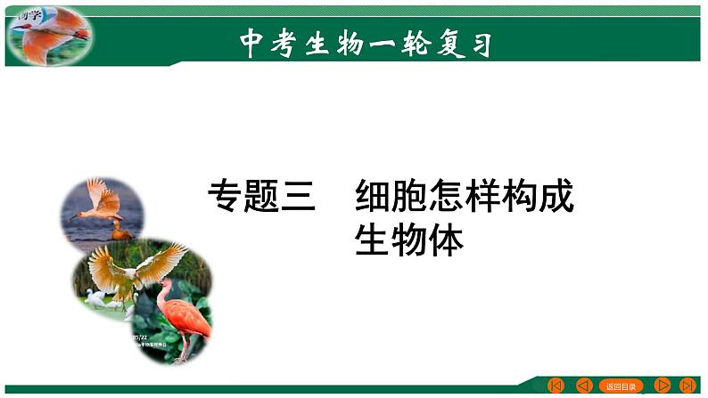 专题03 细胞怎样构成生物体-备战2024年中考生物一轮复习考点帮课件PPT第1页