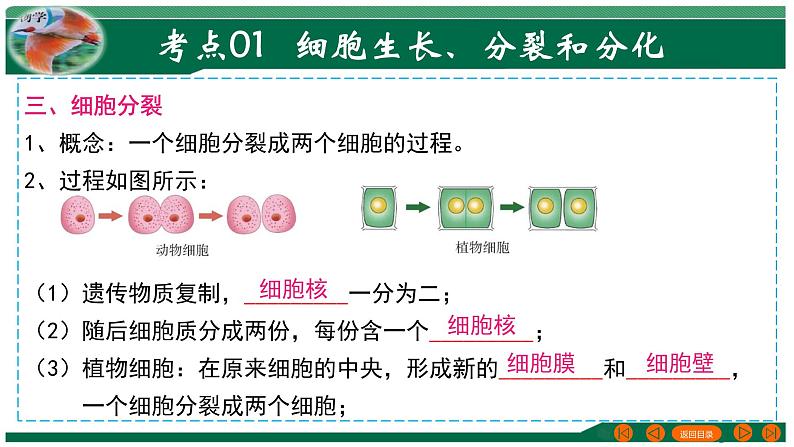 专题03 细胞怎样构成生物体-备战2024年中考生物一轮复习考点帮课件PPT第5页