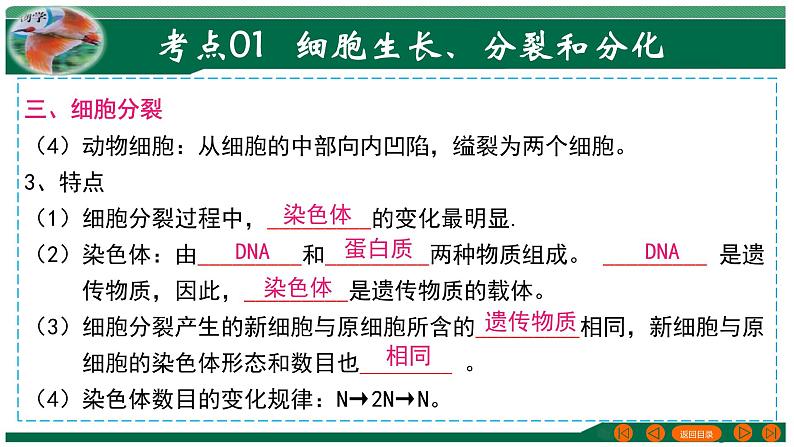 专题03 细胞怎样构成生物体-备战2024年中考生物一轮复习考点帮课件PPT第6页