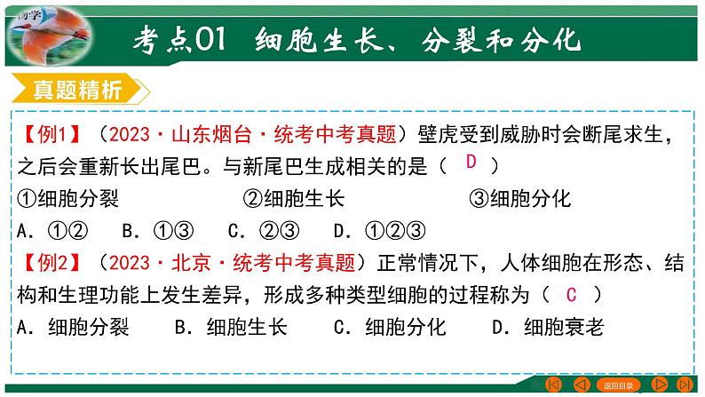 专题03 细胞怎样构成生物体-备战2024年中考生物一轮复习考点帮课件PPT第8页