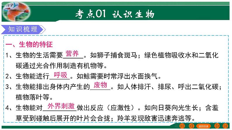 专题01 生物和生物圈-备战2024年中考生物一轮复习考点帮（全国通用）课件PPT第4页