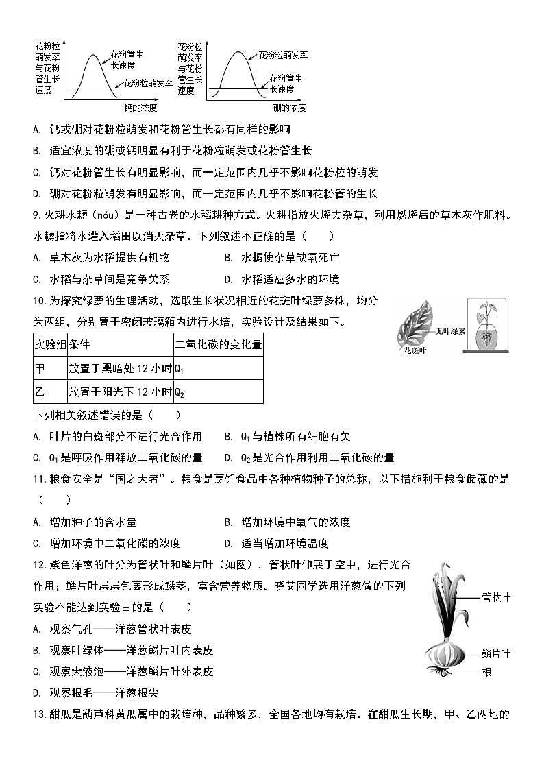 六年级生物限时作业第2页