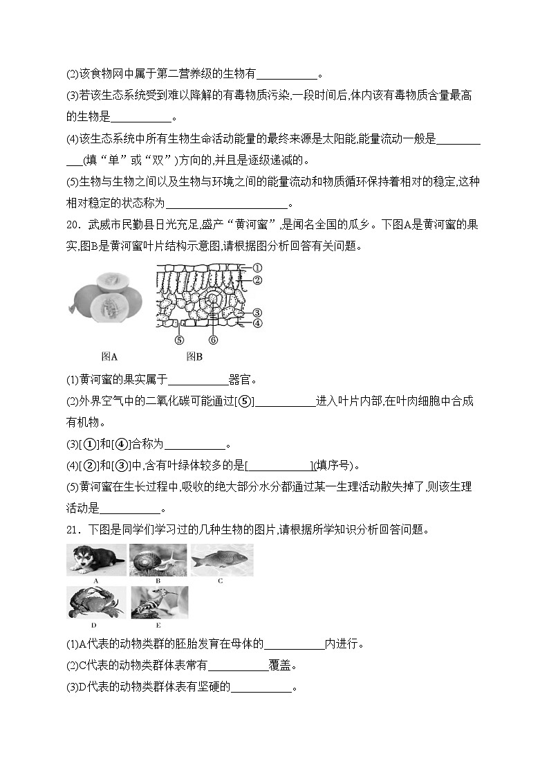 甘肃省定西市2023-2024学年八年级下学期期中学科素养测评生物试卷(含答案)第3页
