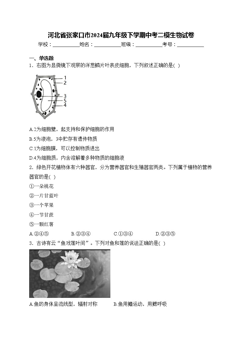 河北省张家口市2024届九年级下学期中考二模生物试卷(含答案)01