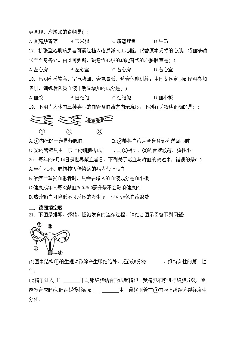 河南省洛阳市洛宁县2023-2024学年七年级下学期4月期中考试生物试卷(含答案)03