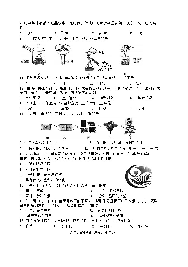 2024年江苏省泰州市兴化市中考三模生物试题02