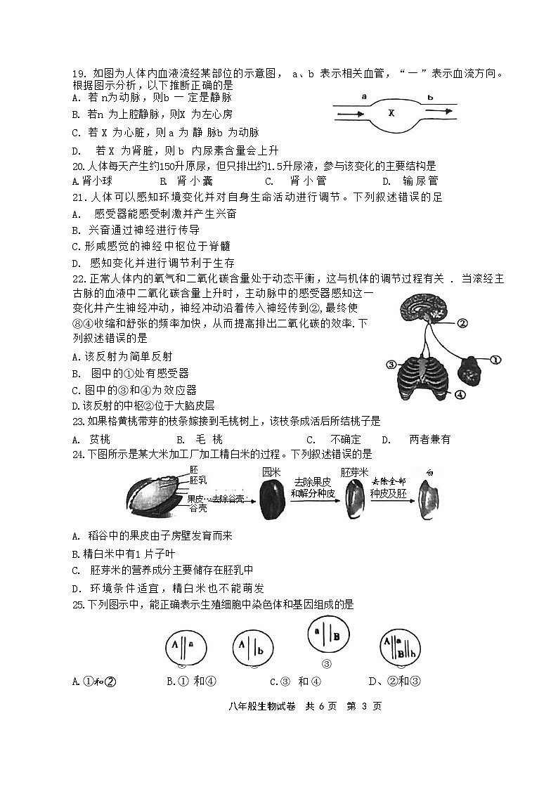 2024年江苏省泰州市兴化市中考三模生物试题03